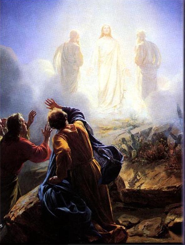 �806transfiguration